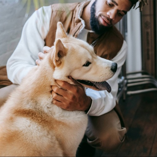 a person holding a dog